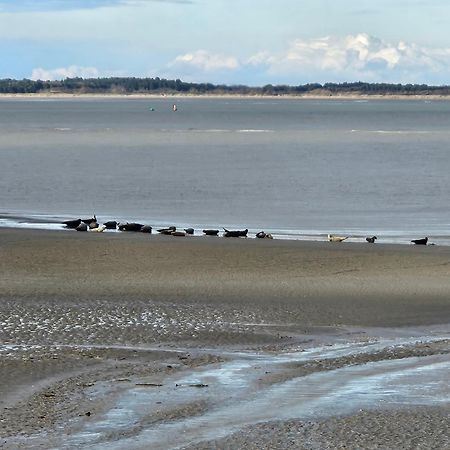 L'Instant Cayeux-sur-Mer Exterior foto