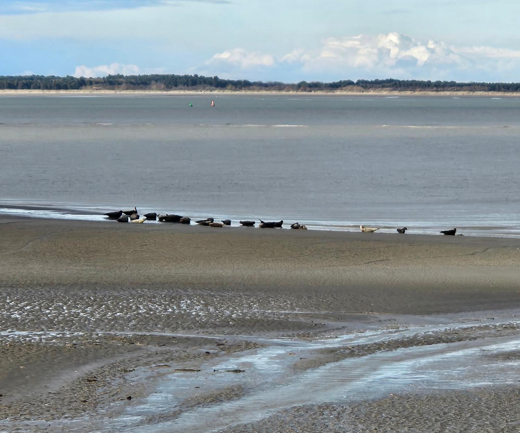 L'Instant Cayeux-sur-Mer Exterior foto