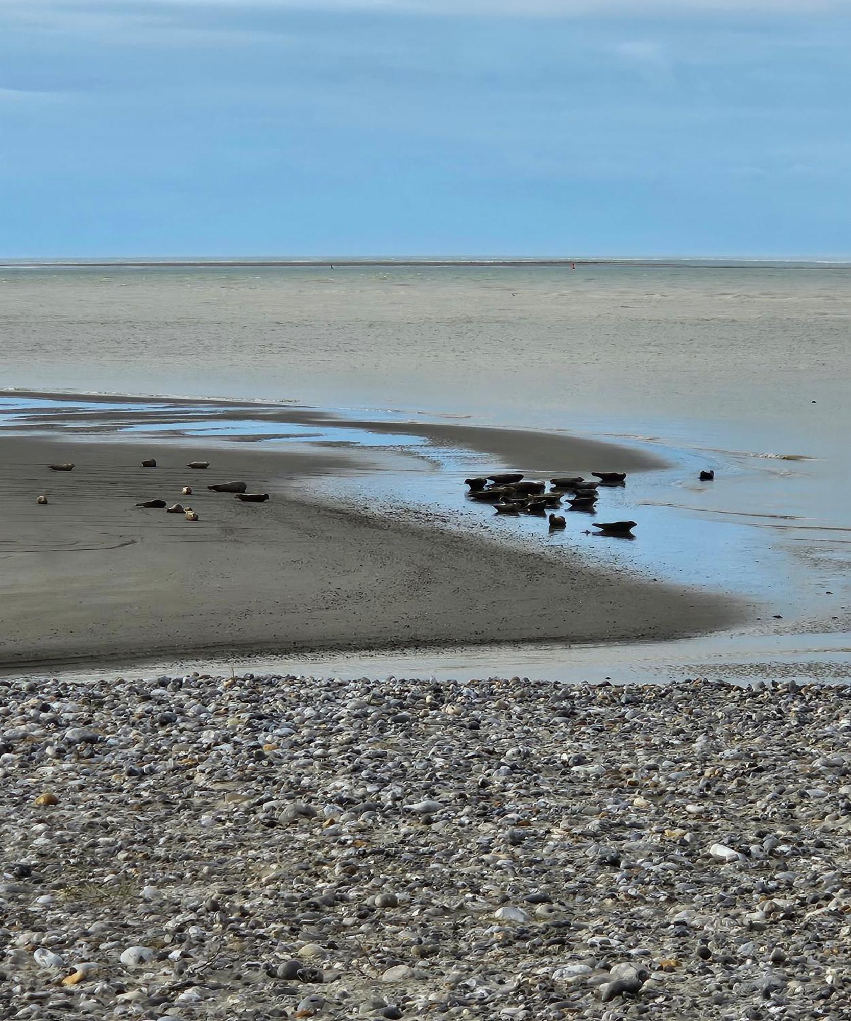 L'Instant Cayeux-sur-Mer Exterior foto